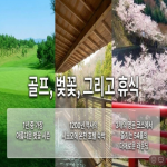 [2026] << 일본 다카마츠 온천 3색 골프 라스트 벚꽃 특선 3박4일!!골프여행 >>