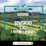 [2026] 강남 300CC (무기명/분담금)