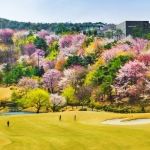 블루원 디아너스CC