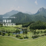 테라CC