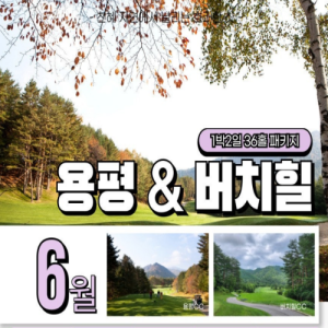[2026] 평창 용평 & 버치힐 1박2일 가성비 골프 패키지