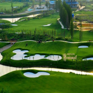 [중국]아시아나항공 힐튼호텔 사양도CC 무제한골프 초특가